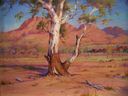 alice_springs_gum2.jpg