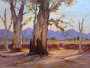 Filename=flinders_gum_r.jpg
Filesize=371KiB
Dimensions=850x642
Date added=Jan 08, 2014 flinders_gum_r.jpg