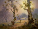 saplings_r.jpg